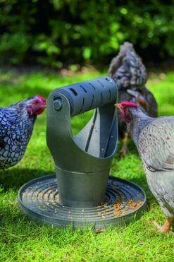 Beeztees Speel- En Snacktoren Kip Grijs -Beeztees Verkoop 2024 0018252 sfeer3