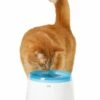 Catit Drinkfontein 2 Ltr 1 Catit Drinkfontein 2 Ltr -Beeztees Verkoop 2024 0022517500538 catit drinkfontein 2liter