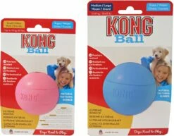 Kong Puppy Bal Met Gat Assorti 7 Kong Puppy Bal Met Gat Assorti -Beeztees Verkoop 2024 0035585356037 22 a