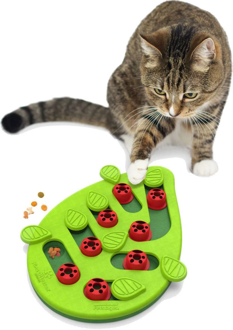 Nina Ottosson Puzzle & Play Buggin Out 6 Nina Ottosson Puzzle & Play Buggin Out - Afbeelding 4
