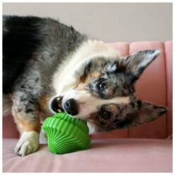 Kong Squeezz Orbitz Spin Top Assorti M/L -Beeztees Verkoop 2024 0201904 3