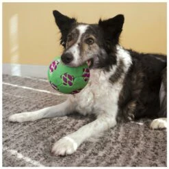 Kong Sneakerz Sport Soccer Ball M 7 Kong Sneakerz Sport Soccer Ball M -Beeztees Verkoop 2024 0201905 2