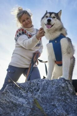 Hurtta Harnas Weekend Warrior Warming Eco Bilberry Mix 8 Hurtta Harnas Weekend Warrior Warming Eco Bilberry Mix -Beeztees Verkoop 2024 0228580 met hond 2