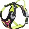 Hurtta Harnas Weekend Warrior Neon Licorice -Beeztees Verkoop 2024 0228590 los 1