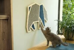 Beeztees Krabplank Blue Bear -Beeztees Verkoop 2024 0409107 sfeer1