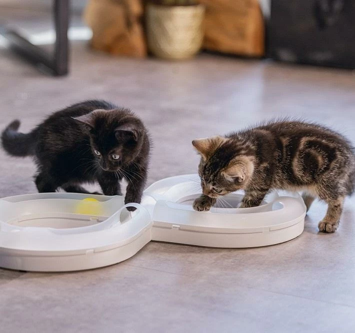 Beeztees Kittenspeelgoed Speelrail Agty 5 Beeztees Kittenspeelgoed Speelrail Agty - Afbeelding 3