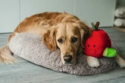 Beeztees Hondenspeelgoed Hide And Seek Appel -Beeztees Verkoop 2024 0619440 sfeer1