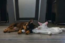 Beeztees Puppy Knuffeldoek Unicorn M 8 Beeztees Puppy Knuffeldoek Unicorn M -Beeztees Verkoop 2024 0619491 sfeer1