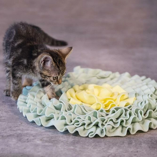 Beeztees Kittenspeelgoed Snuffelmat Flowie 4 Beeztees Kittenspeelgoed Snuffelmat Flowie - Afbeelding 2