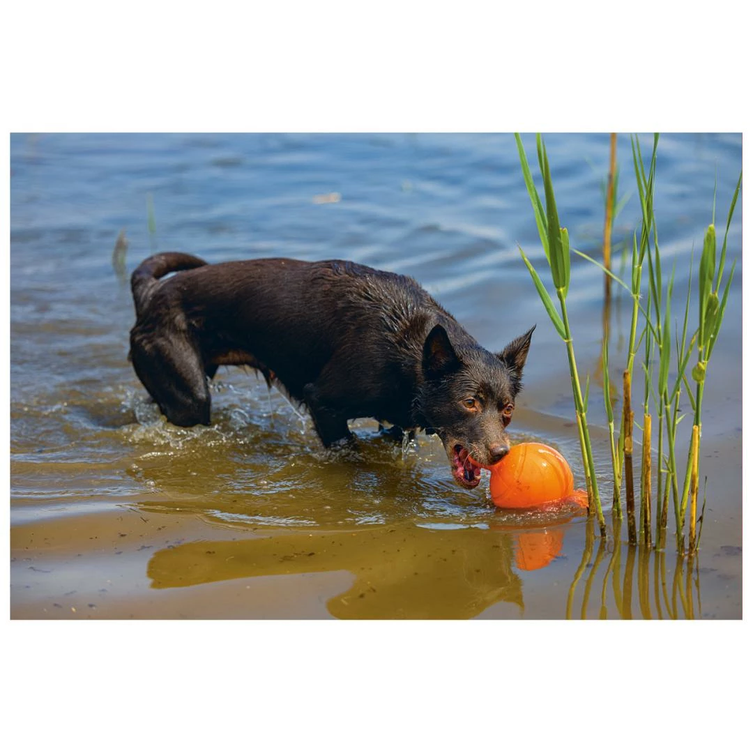 Beeztees Apportino Bal 6 Beeztees Apportino Bal - Afbeelding 4