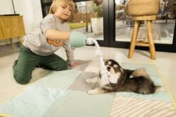 Beeztees Puppy Flostouw Pullina Groen 9 Beeztees Puppy Flostouw Pullina Groen -Beeztees Verkoop 2024 0641270 sfeer2