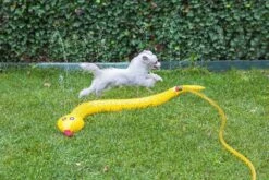 Beeztees Hondenspeelgoed Splashy Snake -Beeztees Verkoop 2024 0704635 sfeer2