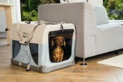 Beeztees Nylon Bench Travel Time Lichtblauw 15 Beeztees Nylon Bench Travel Time Lichtblauw -Beeztees Verkoop 2024 0715160 sfeer1