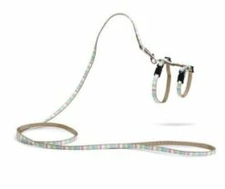 Beeztees Kittentuig Joy -Beeztees Verkoop 2024 0730404