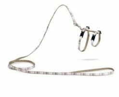 Beeztees Kittentuig Joy -Beeztees Verkoop 2024 0730405