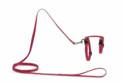 Beeztees Kattentuig Uni Met Lijn -Beeztees Verkoop 2024 0730480