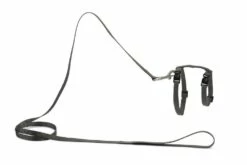 Beeztees Kattentuig Uni Met Lijn -Beeztees Verkoop 2024 0730482