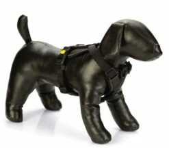 Beeztees Premium Y-Tuig Parinca Zwart