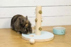 Beeztees Speeltoren Hayra Mint -Beeztees Verkoop 2024 0811114 sfeer1