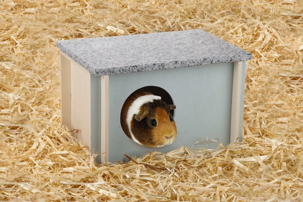 Beeztees Knaagdier Koelhuisje Cico 26 X 18 X 16 Cm 6 Beeztees Knaagdier Koelhuisje Cico 26 X 18 X 16 Cm - Afbeelding 4