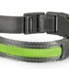 Duvo Veiligheidshalsband Metal Flash Light USB Groen