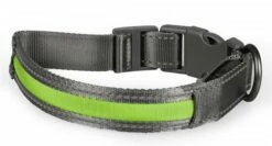 Duvo Veiligheidshalsband Metal Flash Light USB Groen