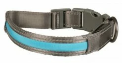 Duvo Veiligheidshalsband Metal Flash Light USB Blauw