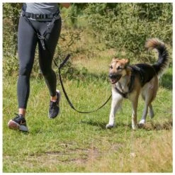 Trixie Hardloopriem Zwart/Grafiet -Beeztees Verkoop 2024 12766 2
