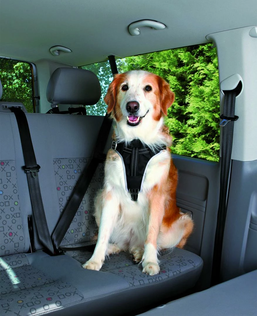 TRIXIE Autotuig Dog Comfort 4 TRIXIE Autotuig Dog Comfort - Afbeelding 2