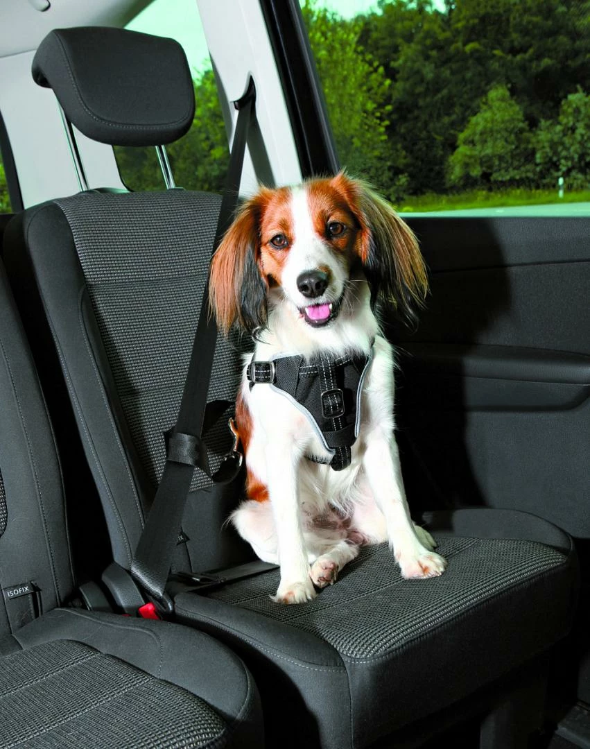 TRIXIE Autotuig Dog Comfort 3 TRIXIE Autotuig Dog Comfort