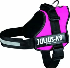 Julius K9 Powerharness Fuchsia -Beeztees Verkoop 2024 15068
