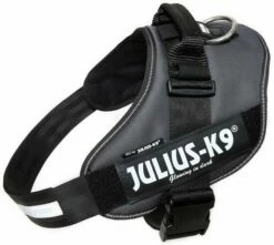 Julius K9 IDC Powerharness Antraciet -Beeztees Verkoop 2024 16IDC ANT 3
