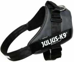 Julius K9 IDC Powerharness Antraciet -Beeztees Verkoop 2024 16IDC ANT 4