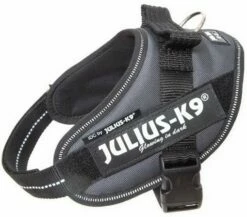 Julius K9 IDC Powerharness Antraciet -Beeztees Verkoop 2024 16IDC ANT M