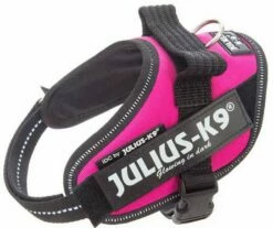 Julius K9 IDC Powerharness Dark Pink -Beeztees Verkoop 2024 16IDC DPN MM
