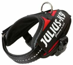Julius K9 IDC Powerharness Red