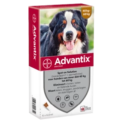 Advantix 600 6 Pipetten