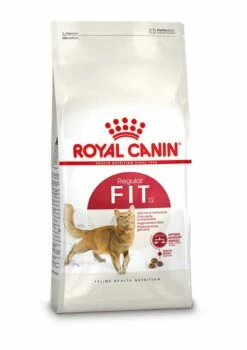 Royal Canin Kattenvoer Fit 32 10 Kg