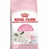 Royal Canin Kattenvoer Mother & Babycat 4 Kg
