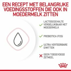 Royal Canin Kattenvoer Babycat Milk 300 Gr 8 Royal Canin Kattenvoer Babycat Milk 300 Gr -Beeztees Verkoop 2024 3182550710862 2