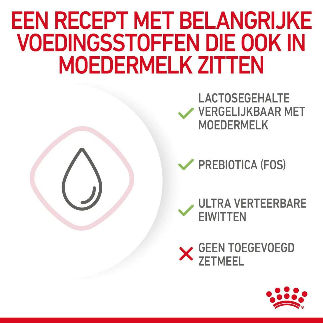 Royal Canin Kattenvoer Babycat Milk 300 Gr 5 Royal Canin Kattenvoer Babycat Milk 300 Gr - Afbeelding 3