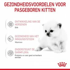 Royal Canin Kattenvoer Babycat Milk 300 Gr 9 Royal Canin Kattenvoer Babycat Milk 300 Gr -Beeztees Verkoop 2024 3182550710862 3