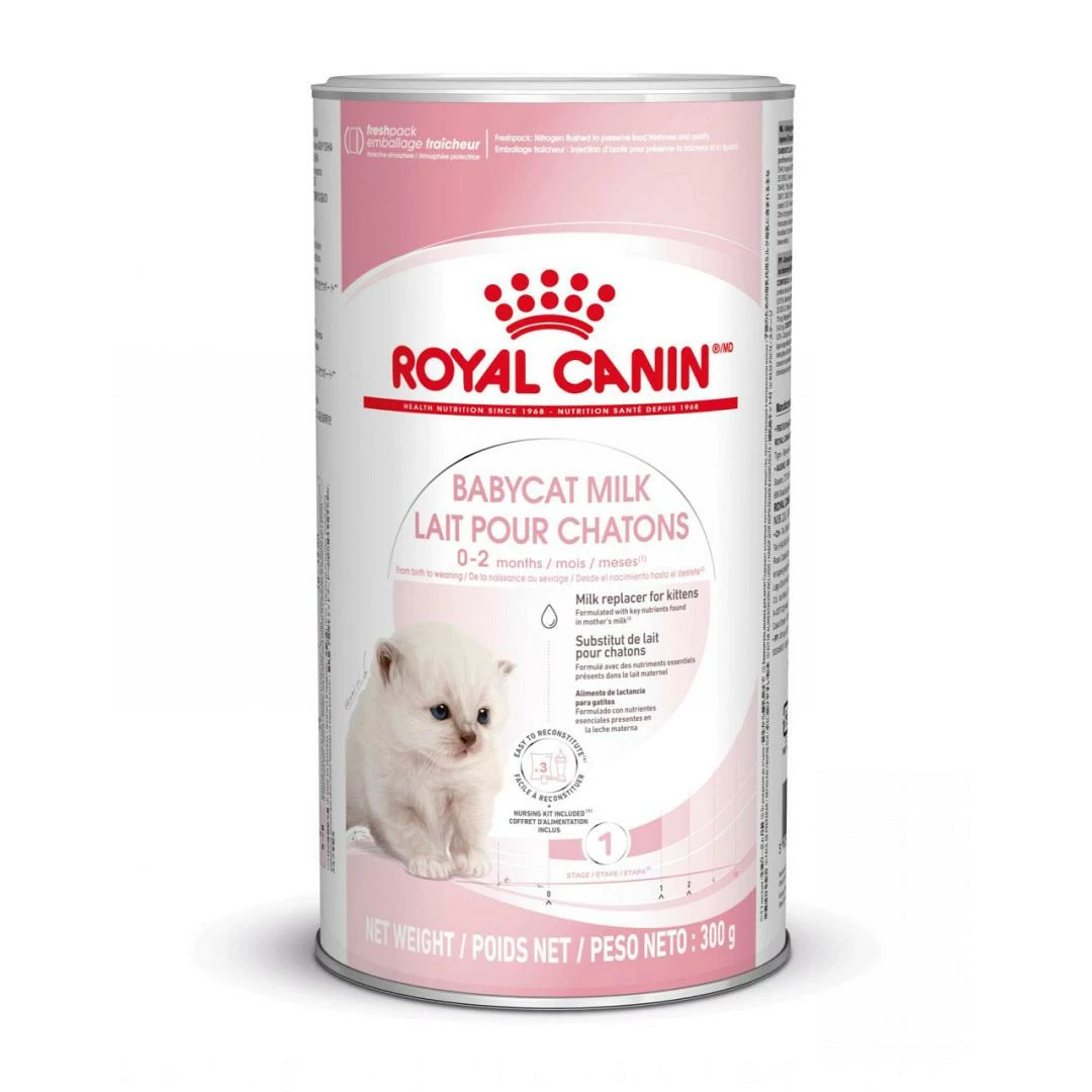 Royal Canin Kattenvoer Babycat Milk 300 Gr 3 Royal Canin Kattenvoer Babycat Milk 300 Gr