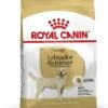 Royal Canin Hondenvoer Labrador Retriever Adult 12 Kg 2 Royal Canin Hondenvoer Labrador Retriever Adult 12 Kg -Beeztees Verkoop 2024 3182550715645