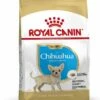 Royal Canin Hondenvoer Chihuahua Puppy 1,5 Kg -Beeztees Verkoop 2024 3182550722544