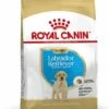 Royal Canin Hondenvoer Labrador Retriever Puppy 12 Kg -Beeztees Verkoop 2024 3182550725514