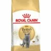 Royal Canin Kattenvoer British Shorthair Adult 2 Kg -Beeztees Verkoop 2024 3182550756419