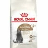 Royal Canin Kattenvoer Ageing Sterilised 12+ 2 Kg -Beeztees Verkoop 2024 3182550805384