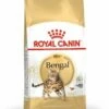 Royal Canin Kattenvoer Bengal Adult 2 Kg -Beeztees Verkoop 2024 3182550865111