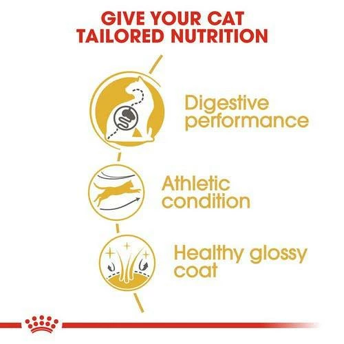 Royal Canin Kattenvoer Bengal Adult 2 Kg 4 Royal Canin Kattenvoer Bengal Adult 2 Kg - Afbeelding 2